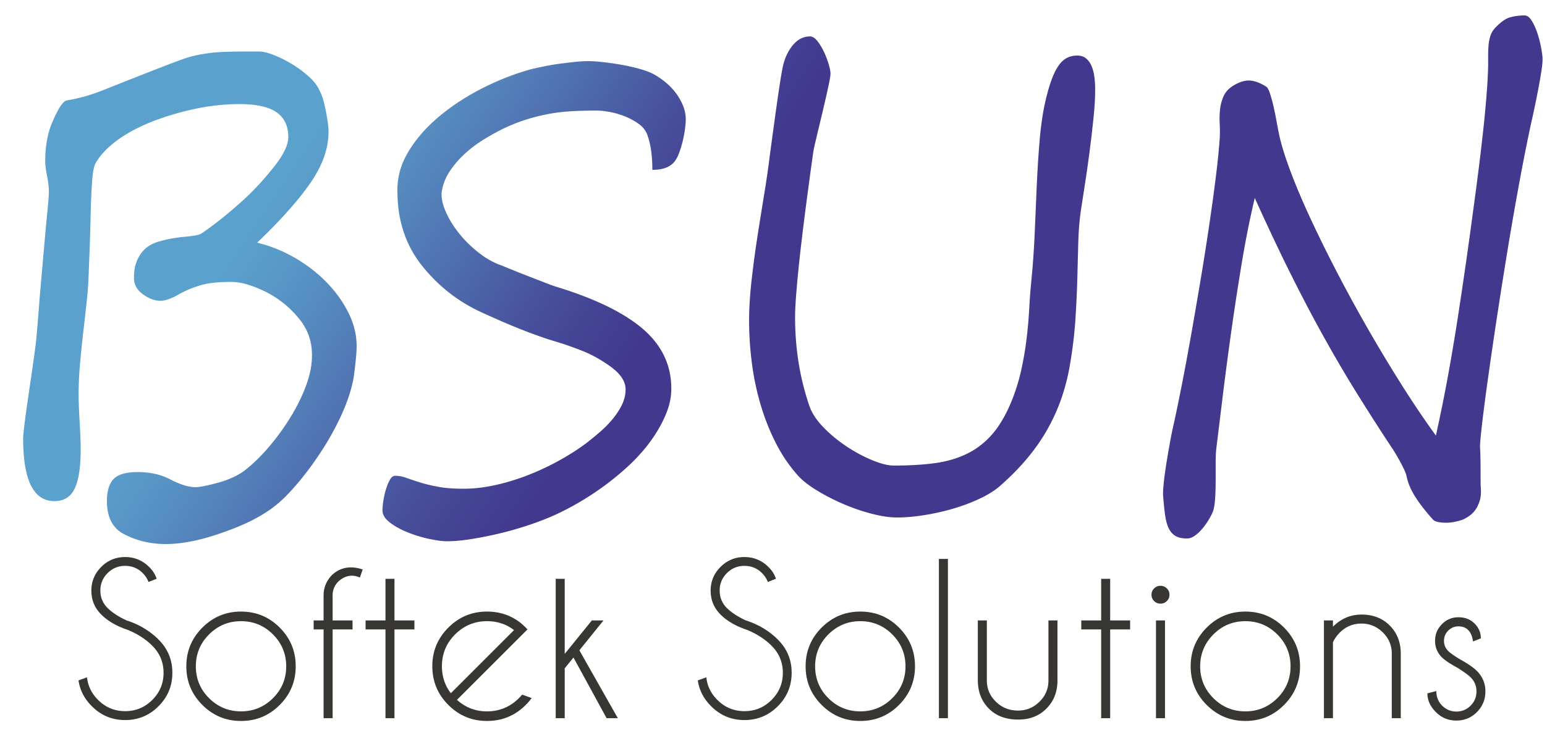 BSUN Softek